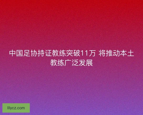 中国足协持证教练突破11万 将推动本土教练广泛发展